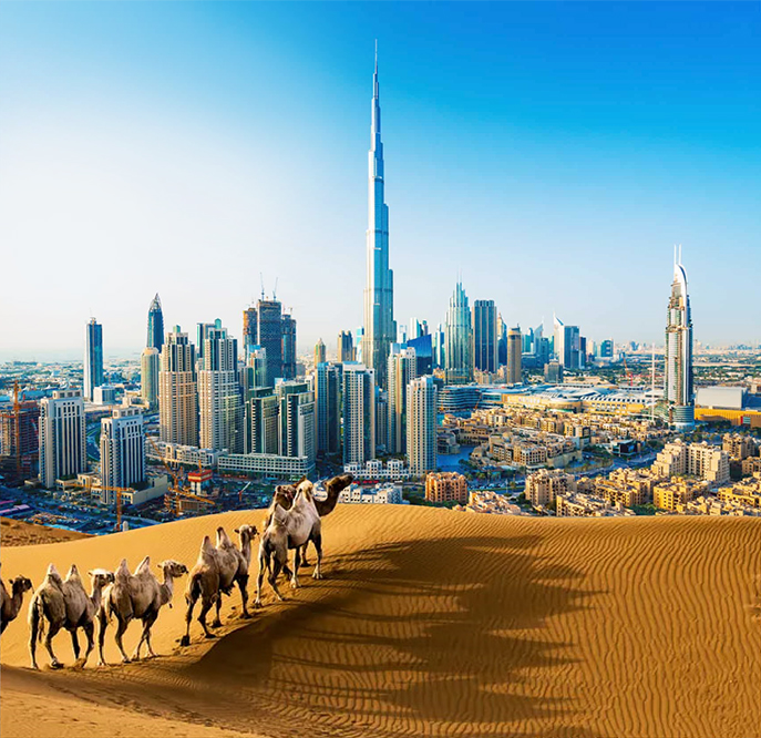 UAE 1st Property Registration Trustees